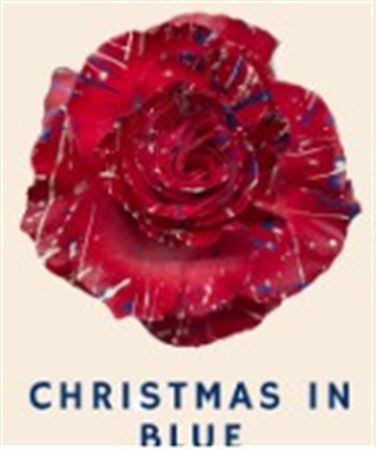 Rosa Gr Ec Tinted Xmas In Blue 50 cm