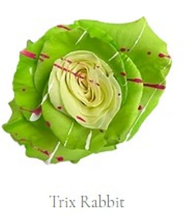 Rosa Gr Ec Tinted Trix Rabbit 50 cm
