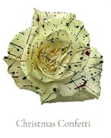Rosa Gr Ec Tinted Christmas Confetti 50 cm