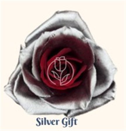Rosa Gr Ec Tinted Silver Gift 50 cm