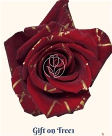 Rosa Gr Ec Tinted Gift On Trees 50 cm