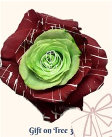 Rosa Gr Ec Tinted Gift On Tree 3 50 cm