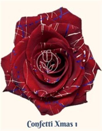 Rosa Gr Ec Tinted Confetti Xmas 1 50 cm