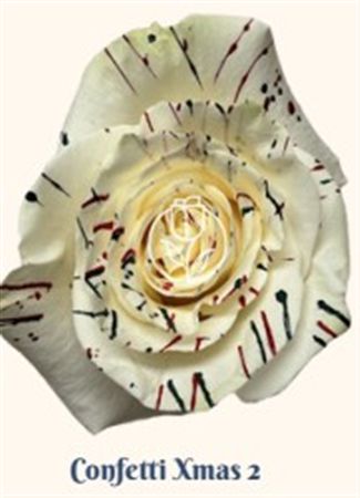 Rosa Gr Ec Tinted Confetti Xmas 2 50 cm