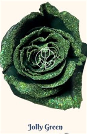 Rosa Gr Ec Tinted Jolly Green 50 cm