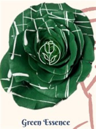 Rosa Gr Ec Tinted Green Essence 50 cm