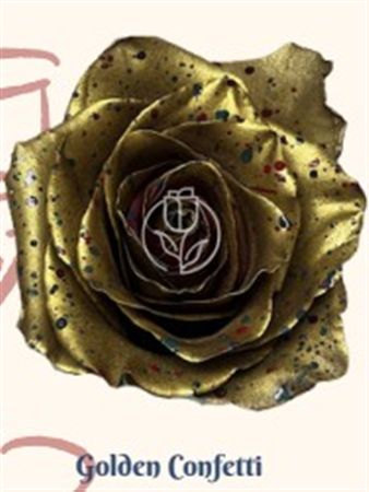 Rosa Gr Ec Tinted Golden Confetti 50 cm