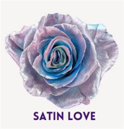 Rosa Gr Ec Tinted Satin Love 50 cm