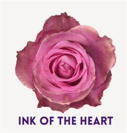 Rosa Gr Ec Tinted Ink Of The Heart 50 cm