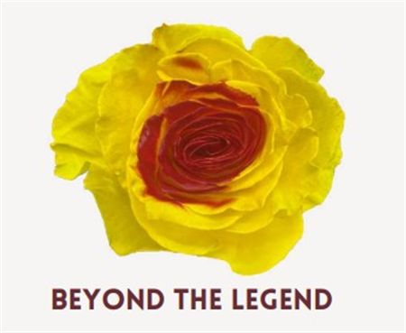 Rosa Gr Ec Tinted Beyond The Legend 50 cm