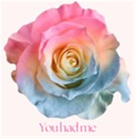 Rosa Gr Ec Tinted You Had Me 50 cm