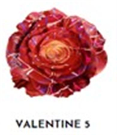 Rosa Gr Ec Tinted Valentine 5 50 cm