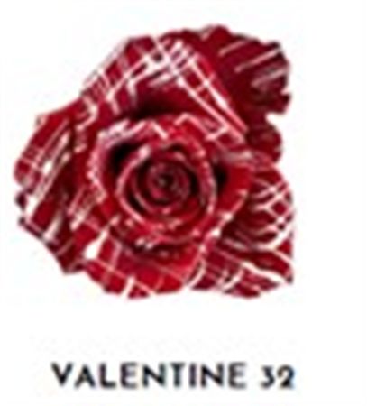 Rosa Gr Ec Tinted Valentine 32 50 cm