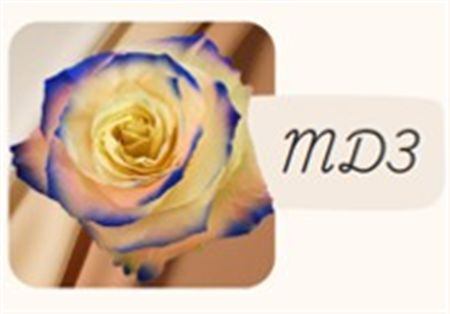 Rosa Gr Ec Tinted Md3 50 cm