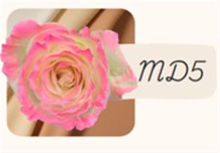Rosa Gr Ec Tinted Md5 50 cm