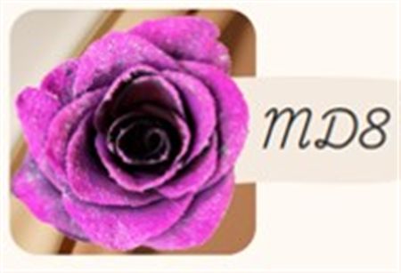 Rosa Gr Ec Tinted Md8 50 cm