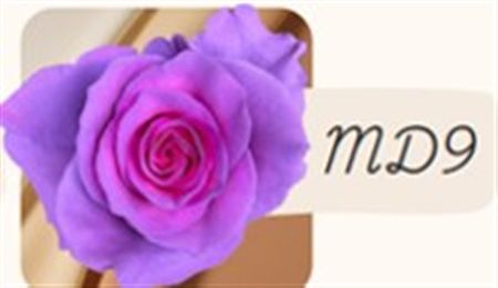 Rosa Gr Ec Tinted Md9 50 cm