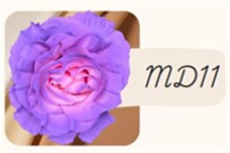 Rosa Gr Ec Tinted Md11 50 cm