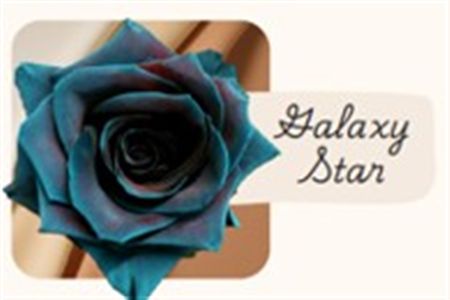 Rosa Gr Ec Tinted Galaxy Star 50 cm