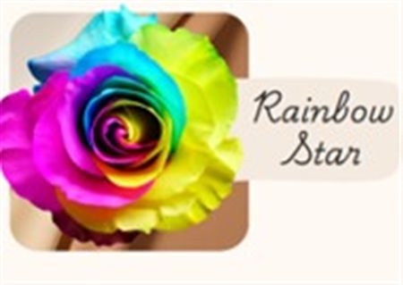 Rosa Gr Ec Tinted Rainbow Star 50 cm