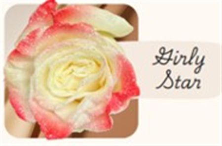 Rosa Gr Ec Tinted Girly Star 50 cm