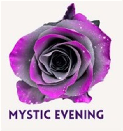 Rosa Gr Ec Tinted Mystic Evening 50 cm
