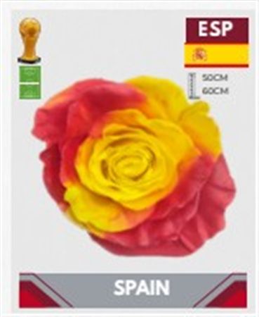 Rosa Gr Ec Tinted Fb Spain 50 cm