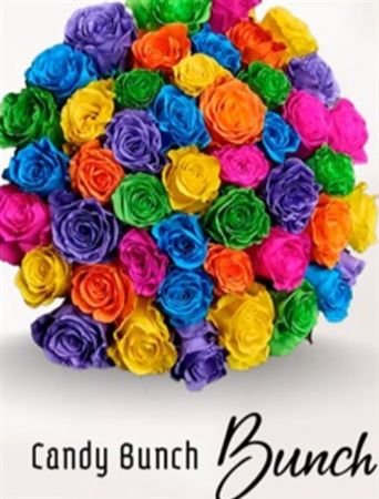Rosa Gr Ec Tinted Candy Bunch 50 cm