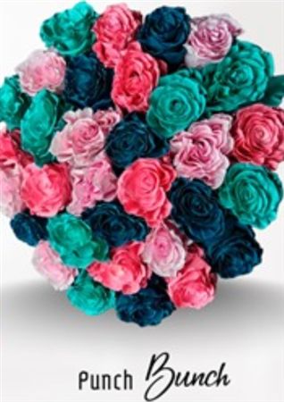 Rosa Gr Ec Tinted Punch Bunch 50 cm