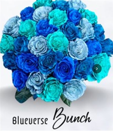 Rosa Gr Ec Tinted Blueverse Bunch 50 cm
