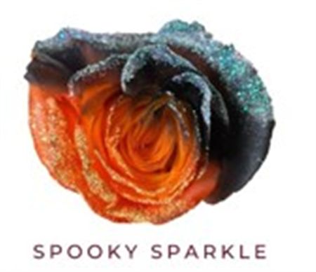 Rosa Gr Ec Tinted Spooky Sparkle 50 cm