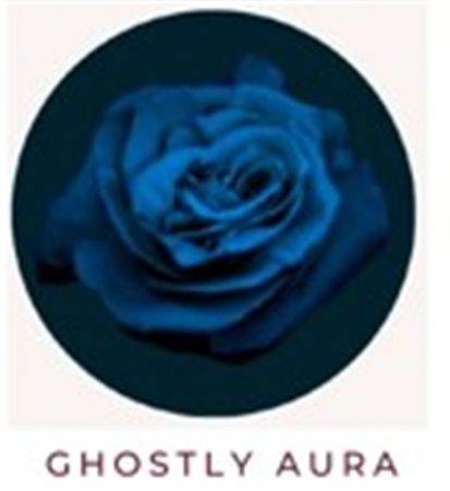 Rosa Gr Ec Tinted Ghostly Aura 50 cm