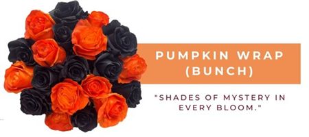 Rosa Gr Ec Tinted Pumpkin Wrap 50 cm