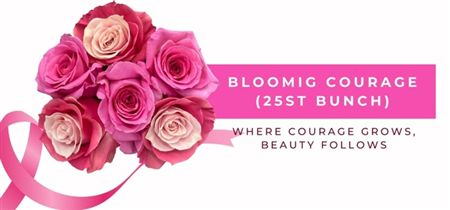 Rosa Gr Ec Tinted Blooming Courage 50 cm
