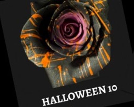 Rosa Gr Ec Tinted Halloween 10 50 cm