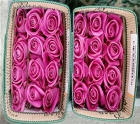 Rosa Gr Ec Soulmate 60 cm